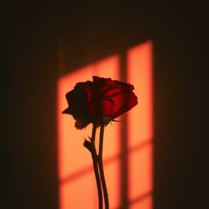 Арабская ночь