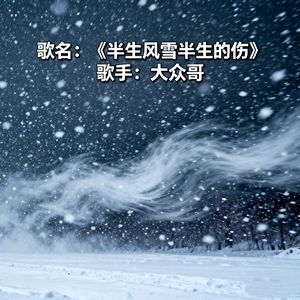 半生风雪半生的伤