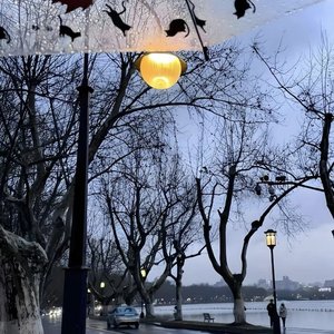 观潮(Prod.Siren&EVOMUSIC)