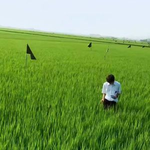 “倾斜” Rich Amiri Type Beat 2025