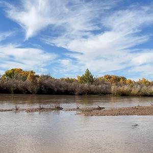 El arroyo grande de san isidro de las calabaza