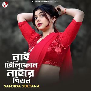 নাই টেলিফোন নাইরে প্রিয় (Lo-Fi Version)