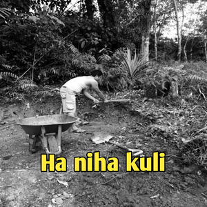 Ha niha kuli