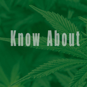 Know About (feat. King Iowa Shawn)