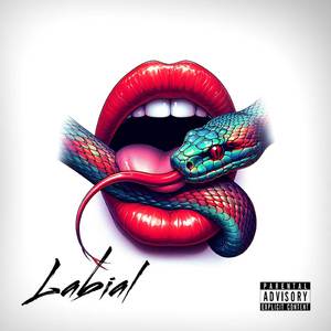 LABIAL