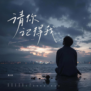 请你记得我 (音乐版)