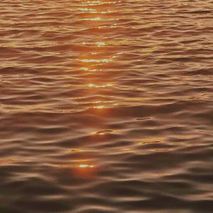 在大观公园看夕阳