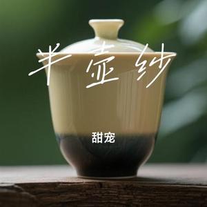 半壶纱 (Cover 刘珂矣)