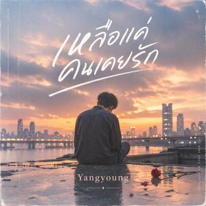 เหลือแค่คนเคยรัก