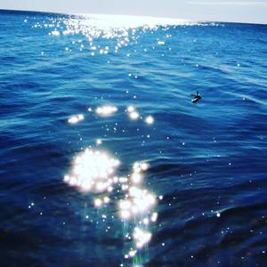 Ecos lejanos, guía en la sombra