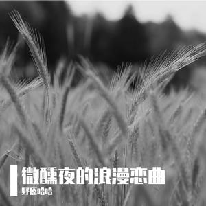 为笨蛋争气的誓言