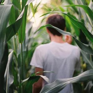 不在一起