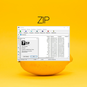 ZIP