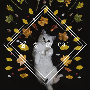 窗台的猫（翻自 窗台的猫）