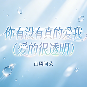 你有没有真的爱我（爱的很透明）(车载DJ版)