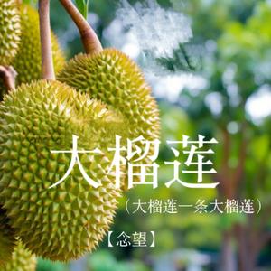 大榴莲（大榴莲一条大榴莲）