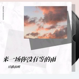 来一场你没有等的雨
