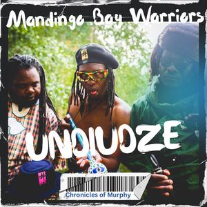 Undiudze