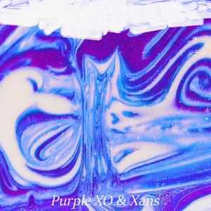 Purple XO & Xans