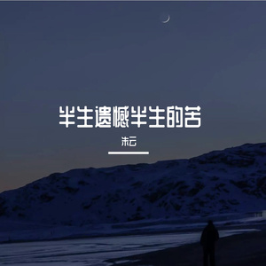 半生遗憾半生的苦