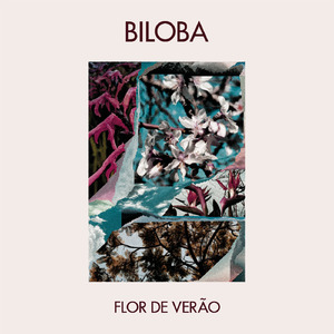 Flor de Verão