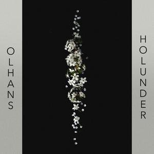 Holunder