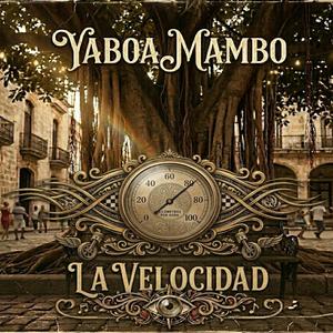 La velocidad