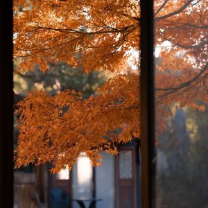 陪着我的时候想着她️