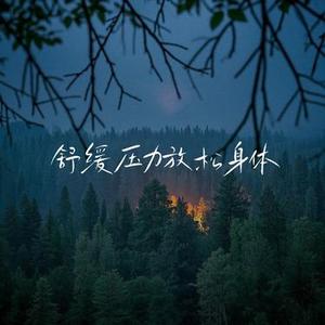 舒缓轻音乐 解压助眠、缓解焦虑、释放压力