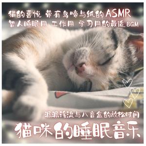 猫咪专用的放松BGM