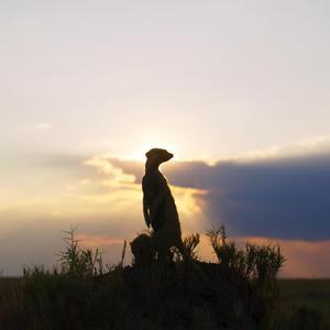 北极之北（Prod by BECU BEATZ）