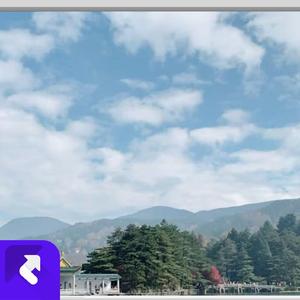 森林的秘密 (现场)