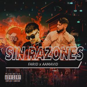 Sin razones (feat. Aamavid)