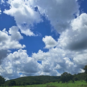 Ninguém Pode Lhe Parar (Moda de Viola)