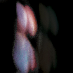 Acidia