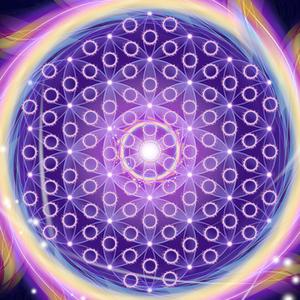 mRNA The Genetic Lady