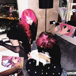 Ночная кошка