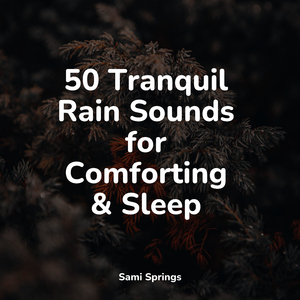 Rain, Drain, Cement, Lawn