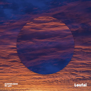 Sonora Sunset