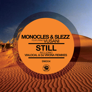 Still (DJ Vivona Deep Remix)