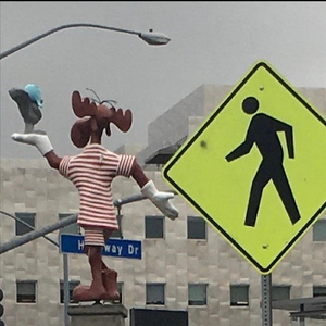 Me & My Friends