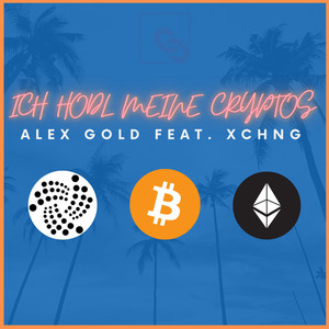 Ich Hodl Meine Cryptos