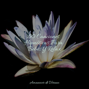 La Melancólica Melodía del Néctar