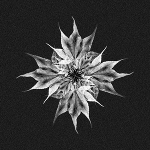 Kaede (Original Mix)
