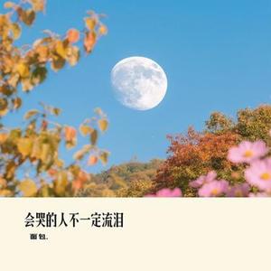 会哭的人不一定流泪 (Cover 雷婷)