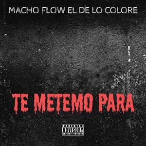 Te Metemo Para