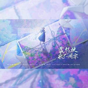 蓝桔梗永不凋零