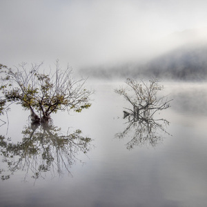 贾国平 Diaspora 为大笛、笙、伽倻琴、日本筝、打击乐与弦乐（2017）