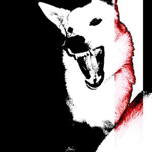 shameless (hardtekk - sped up)