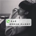 爱意随风起 风止意难平 (Remix)